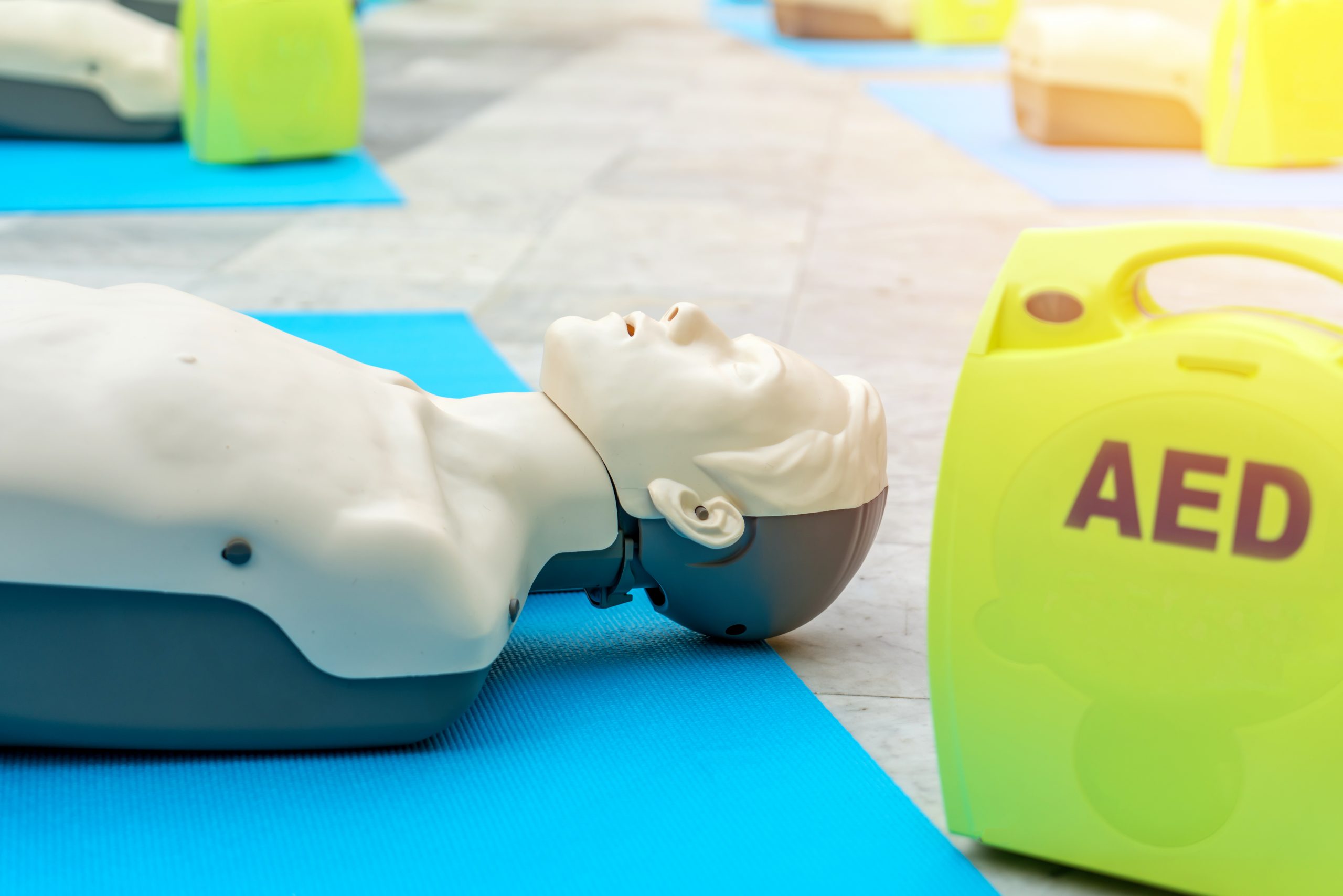model for cpr and AED training (automated external defibrillator)
